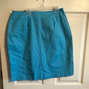 Women’s skirt by Briggs New York. Size 12 NWT.